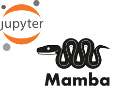 The orange, abstract, Jupyter logo and the Mamba logo which is a cute black snake.