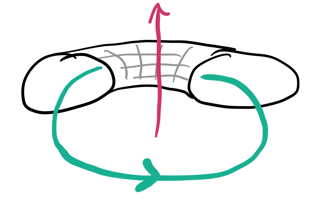 Figure 6: Wilson loops that wind the major or minor diameters of the torus measure flux winding through the hole of the doughnut/torus (red) or through the filling (green). If they made doughnuts which had both had a jam filling and a hole, this analogy would be a lot easier to make  [27].